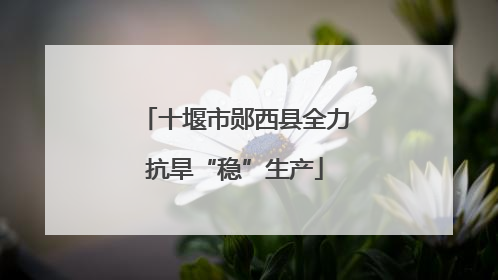 十堰市郧西县全力抗旱“稳”生产