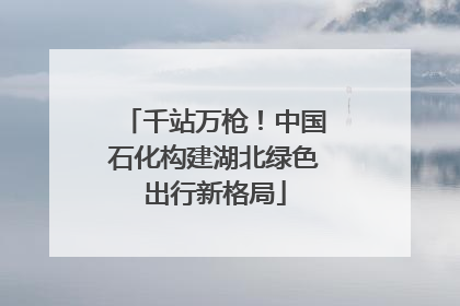 千站万枪！中国石化构建湖北绿色出行新格局