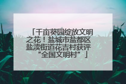千亩葵园绽放文明之花！盐城市盐都区盐渎街道花吉村获评“全国文明村”