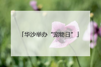 华沙举办“宠物日”