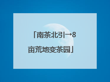 南茶北引→8亩荒地变茶园