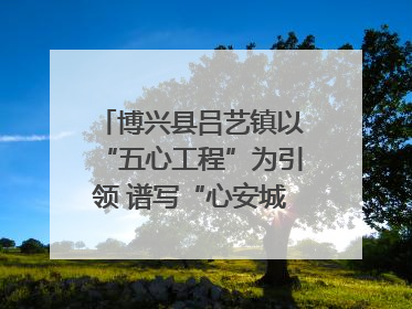 博兴县吕艺镇以“五心工程”为引领 谱写“心安城市”建设新篇章