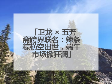 卫龙 × 五芳斋跨界联名：辣条粽横空出世，端午市场掀狂澜