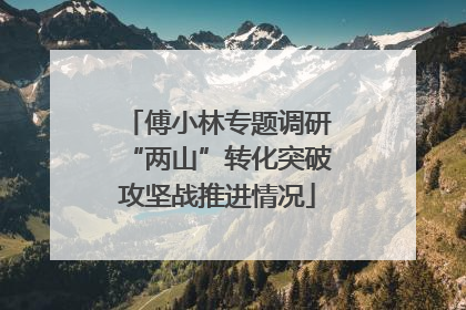 傅小林专题调研“两山”转化突破攻坚战推进情况