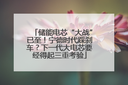 储能电芯“大战”已至！宁德时代踩刹车？下一代大电芯要经得起三重考验