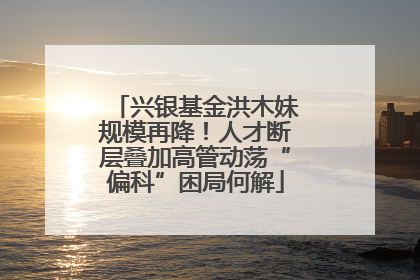 兴银基金洪木妹规模再降！人才断层叠加高管动荡“偏科”困局何解