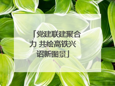 党建联建聚合力 共绘高铁兴诏新图景