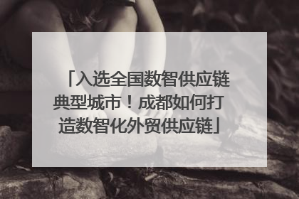 入选全国数智供应链典型城市！成都如何打造数智化外贸供应链