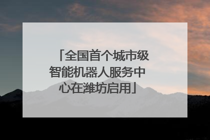 全国首个城市级智能机器人服务中心在潍坊启用