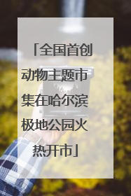 全国首创动物主题市集在哈尔滨极地公园火热开市