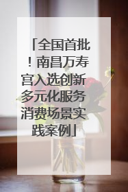 全国首批！南昌万寿宫入选创新多元化服务消费场景实践案例