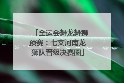 全运会舞龙舞狮预赛：七支河南龙狮队晋级决赛圈