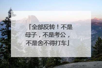 全部反转！不是母子，不是考公，不是舍不得打车