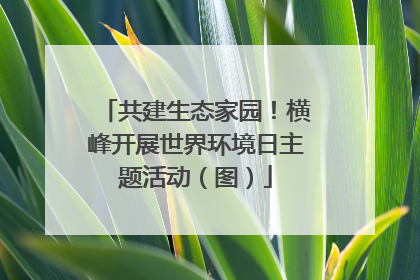 共建生态家园！横峰开展世界环境日主题活动（图）