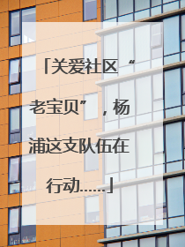 关爱社区“老宝贝”，杨浦这支队伍在行动……