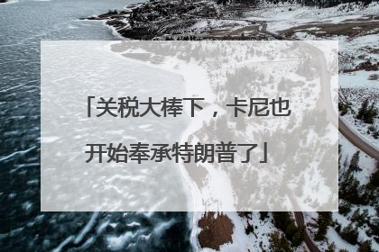 关税大棒下，卡尼也开始奉承特朗普了