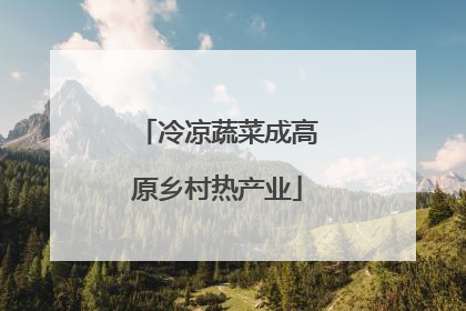 冷凉蔬菜成高原乡村热产业