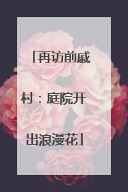 再访前戚村：庭院开出浪漫花