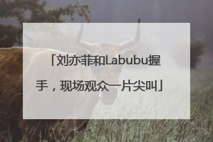 刘亦菲和Labubu握手，现场观众一片尖叫