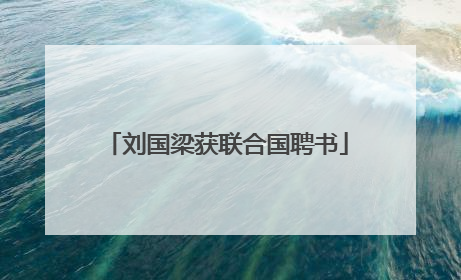 刘国梁获联合国聘书