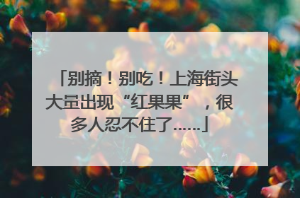 别摘！别吃！上海街头大量出现“红果果”，很多人忍不住了……