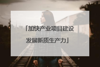 加快产业项目建设 发展新质生产力