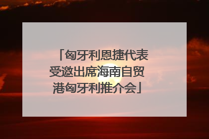 匈牙利恩捷代表受邀出席海南自贸港匈牙利推介会