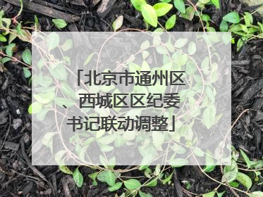 北京市通州区、西城区区纪委书记联动调整