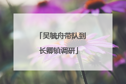 吴毓舟带队到长卿镇调研