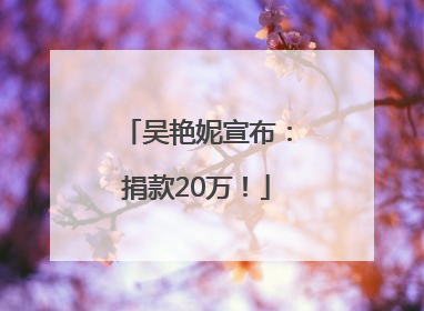 吴艳妮宣布：捐款20万！