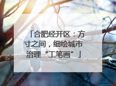 合肥经开区：方寸之间，细绘城市治理“工笔画”