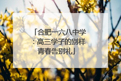合肥一六八中学：高三学子的别样青春告别礼