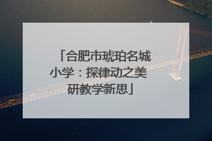 合肥市琥珀名城小学：探律动之美 研教学新思
