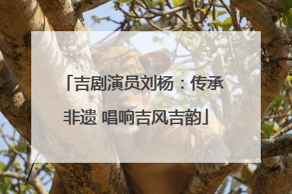 吉剧演员刘杨：传承非遗 唱响吉风吉韵