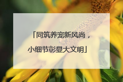 同筑养宠新风尚，小细节彰显大文明
