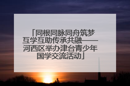 同根同脉同舟筑梦 互学互助传承共融——河西区举办津台青少年国学交流活动