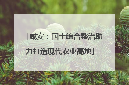 咸安：国土综合整治助力打造现代农业高地