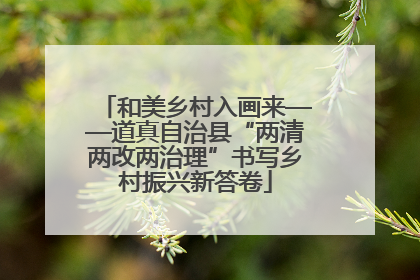 和美乡村入画来——道真自治县“两清两改两治理”书写乡村振兴新答卷