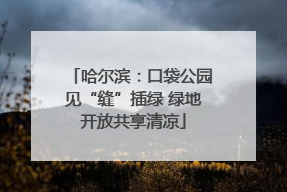 哈尔滨：口袋公园见“缝”插绿 绿地开放共享清凉