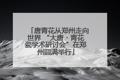 唐青花从郑州走向世界 “大唐・青花瓷学术研讨会”在郑州圆满举行
