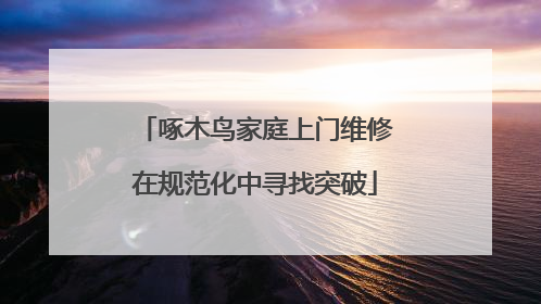 啄木鸟家庭上门维修在规范化中寻找突破