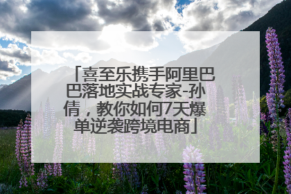 喜至乐携手阿里巴巴落地实战专家-孙倩，教你如何7天爆单逆袭跨境电商