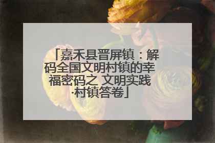 嘉禾县晋屏镇：解码全国文明村镇的幸福密码之 文明实践·村镇答卷