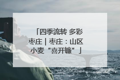 四季流转 多彩枣庄｜枣庄：山区小麦“喜开镰”