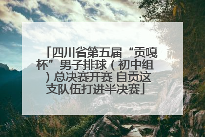 四川省第五届“贡嘎杯”男子排球（初中组）总决赛开赛 自贡这支队伍打进半决赛