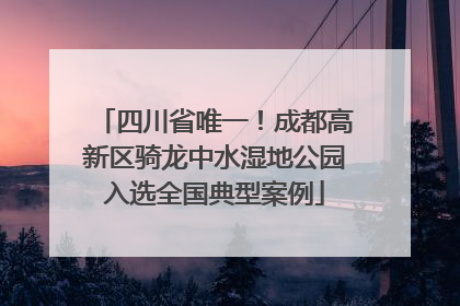 四川省唯一！成都高新区骑龙中水湿地公园入选全国典型案例