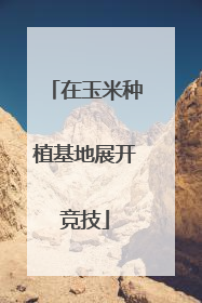在玉米种植基地展开竞技
