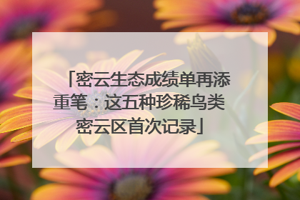 密云生态成绩单再添重笔：这五种珍稀鸟类密云区首次记录