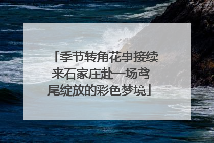 季节转角花事接续 来石家庄赴一场鸢尾绽放的彩色梦境