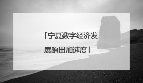 宁夏数字经济发展跑出加速度